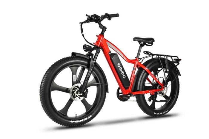 EMMO E-Wild Pro - Image 10