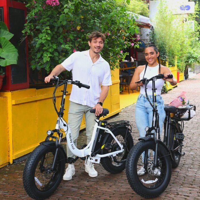 Hiboy EX6F Folding Fat Tire Electric Bike - Image 14