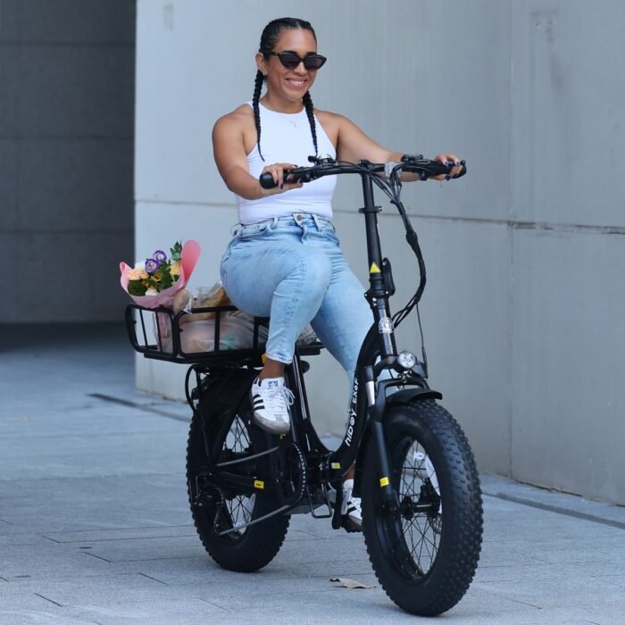 Hiboy EX6F Folding Fat Tire Electric Bike - Image 13