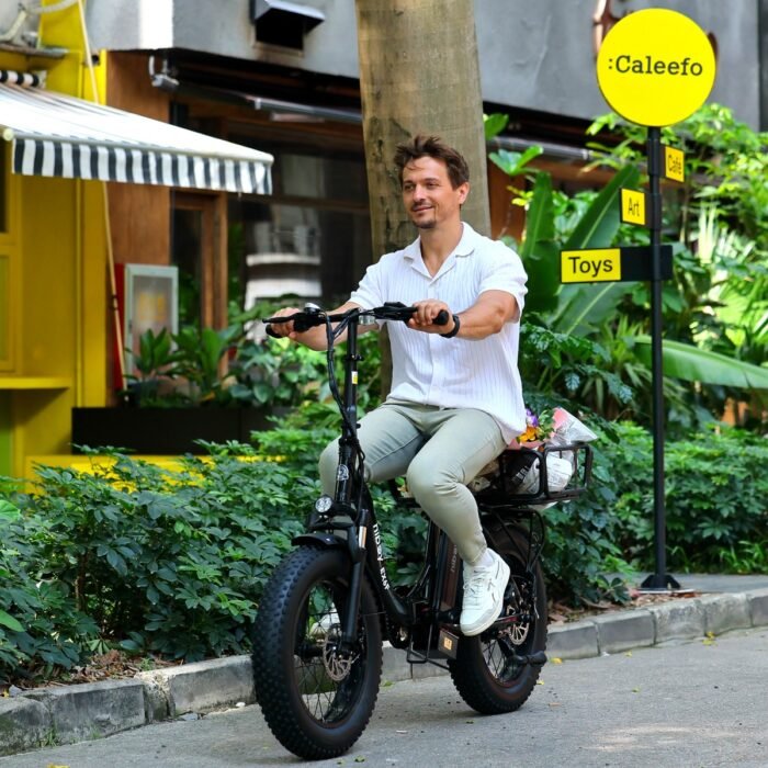 Hiboy EX6F Folding Fat Tire Electric Bike - Image 12
