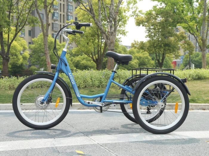 HERA MG 1703 E-Trike - Image 4