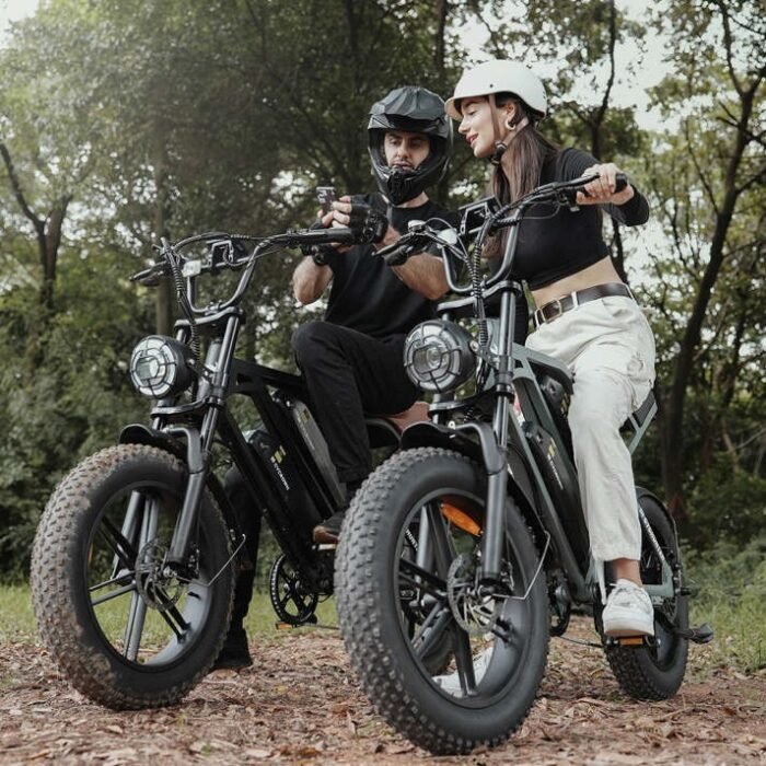 CycHunter Moped Style Ebike - Image 6