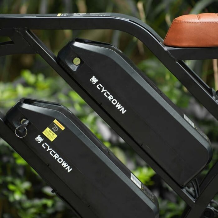 CycHunter Moped Style Ebike - Image 9