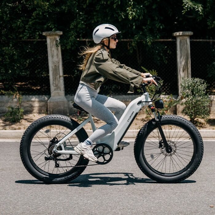 CycVerve All Terrain Ebike - Image 9