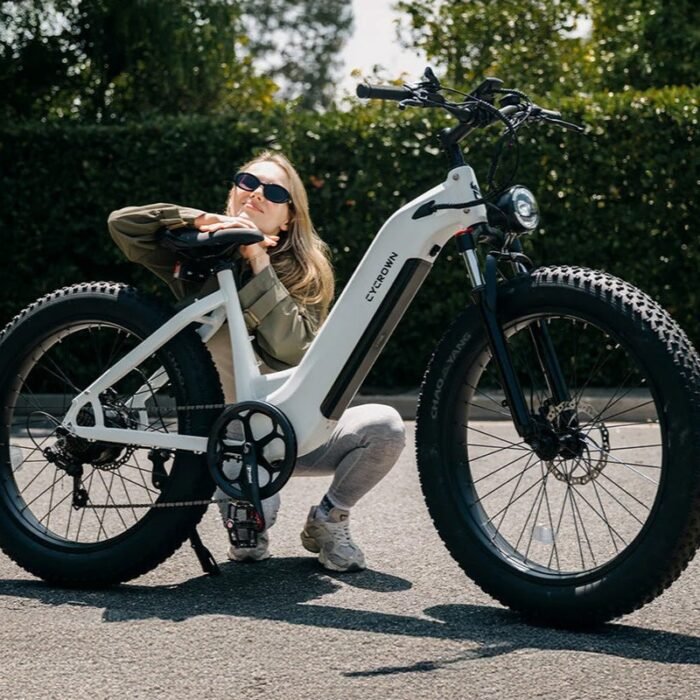 CycVerve All Terrain Ebike - Image 10