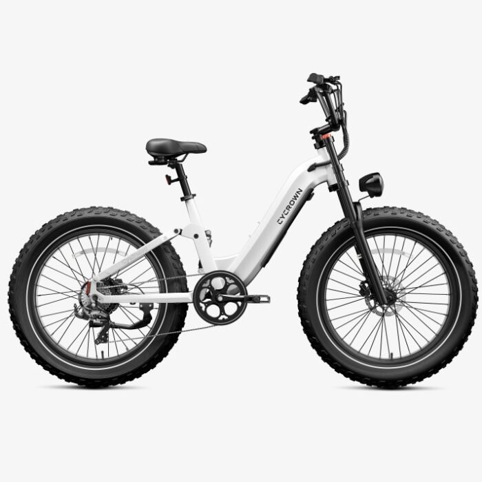 Roma All-Terrain Ebike - Image 3