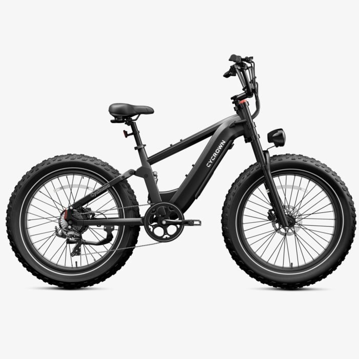 Roma All-Terrain Ebike - Image 4