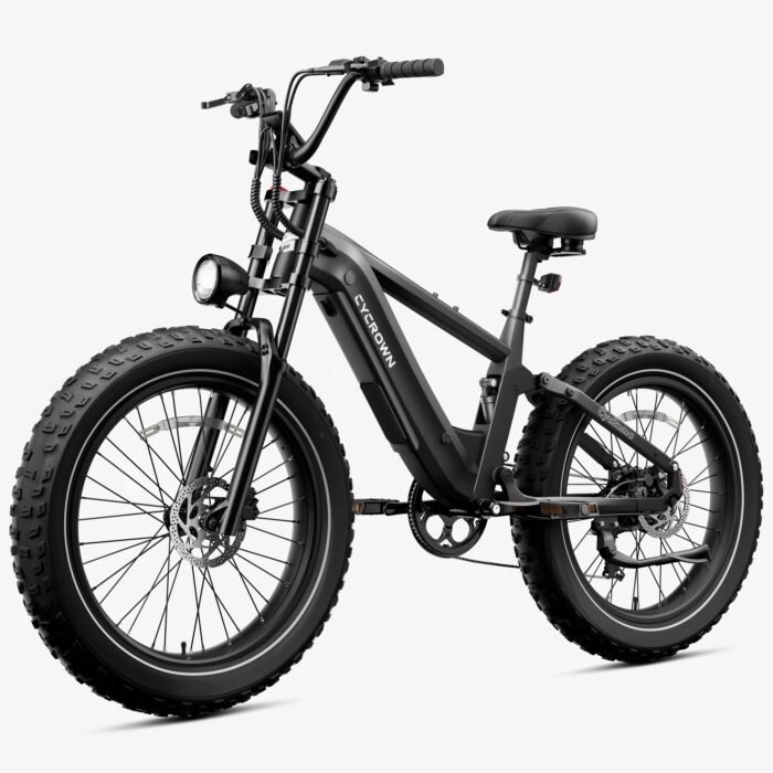 Roma All-Terrain Ebike - Image 5