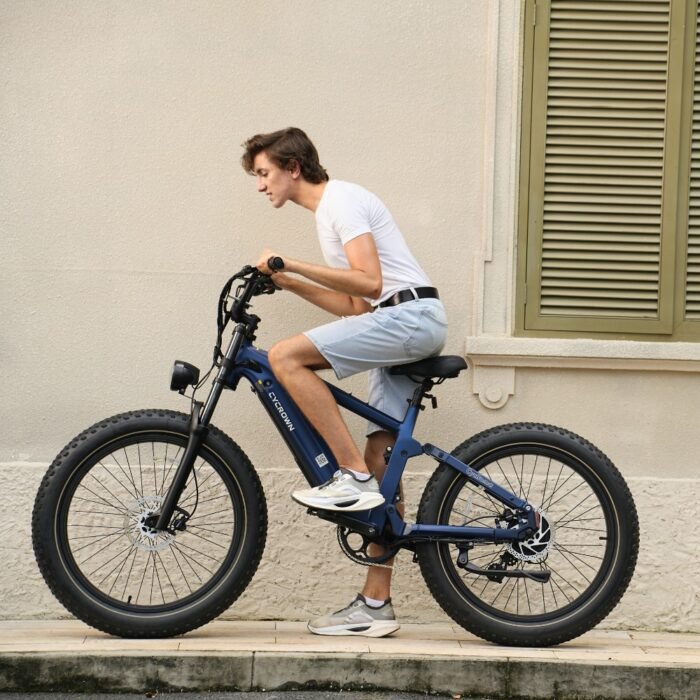 Roma All-Terrain Ebike - Image 10