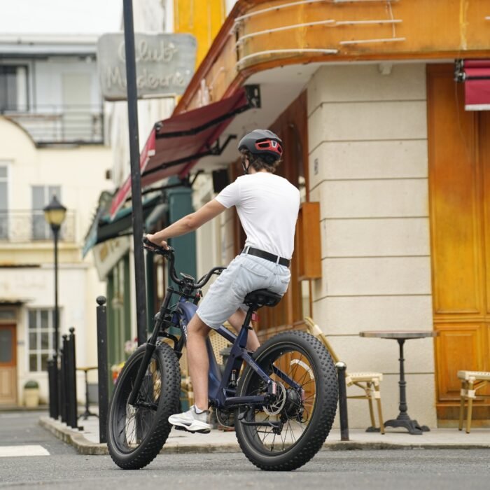 Roma All-Terrain Ebike - Image 13