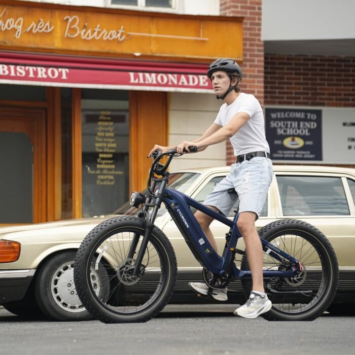 Roma All-Terrain Ebike - Image 14