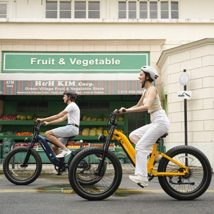 Roma All-Terrain Ebike - Image 15