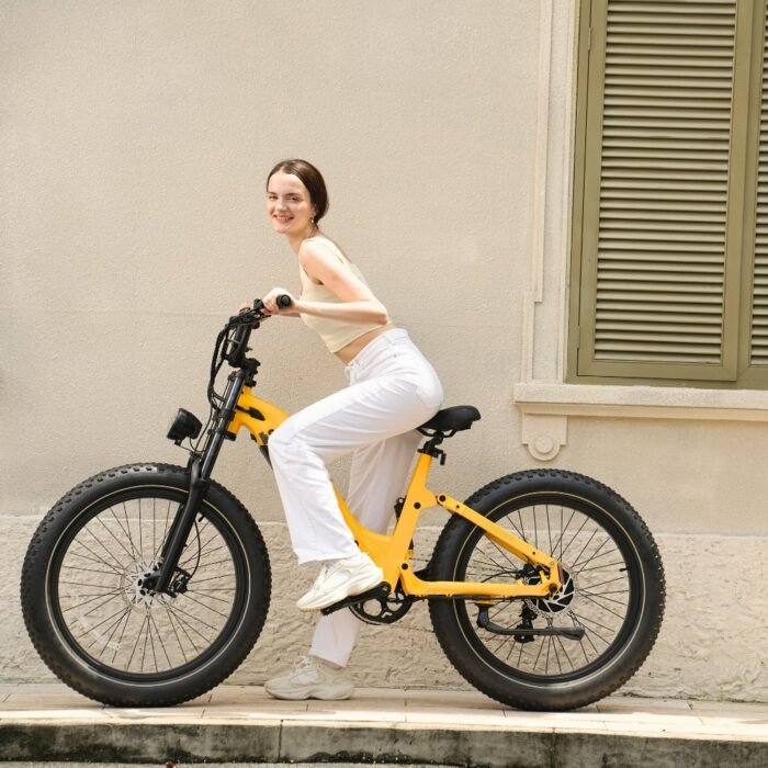 Roma All-Terrain Ebike - Image 18