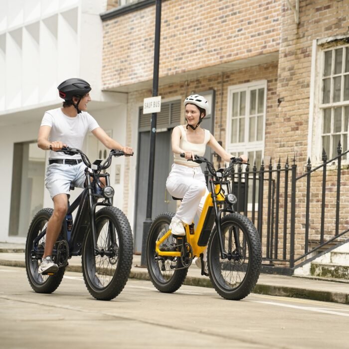 Roma All-Terrain Ebike - Image 21