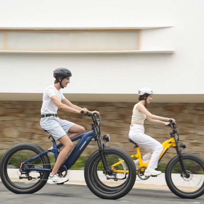 Roma All-Terrain Ebike - Image 22