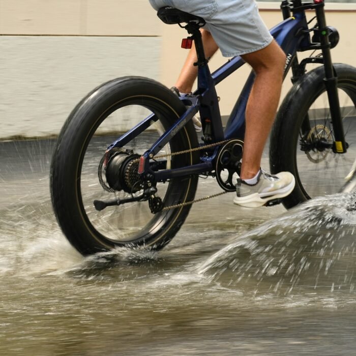 Roma All-Terrain Ebike - Image 23