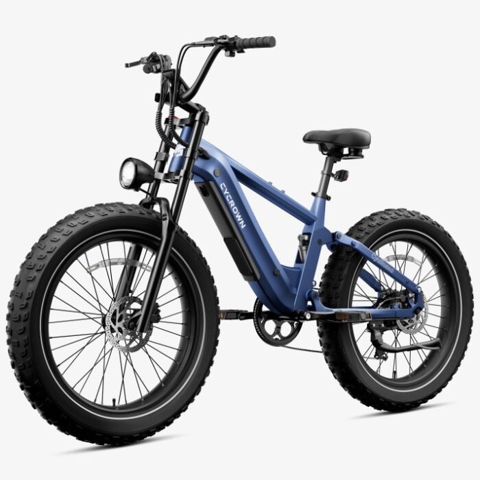 Roma All-Terrain Ebike - Image 6