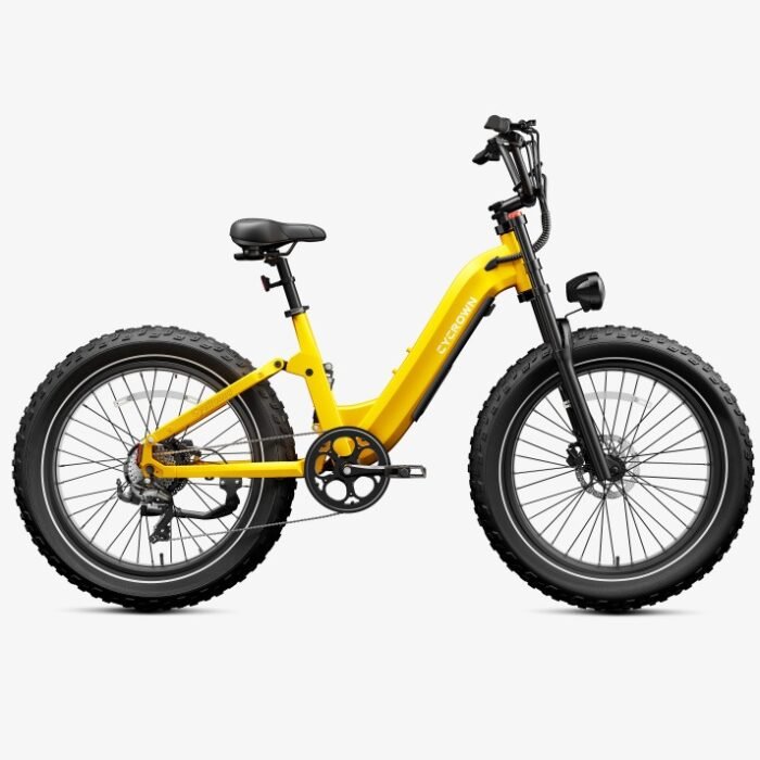 Roma All-Terrain Ebike - Image 8