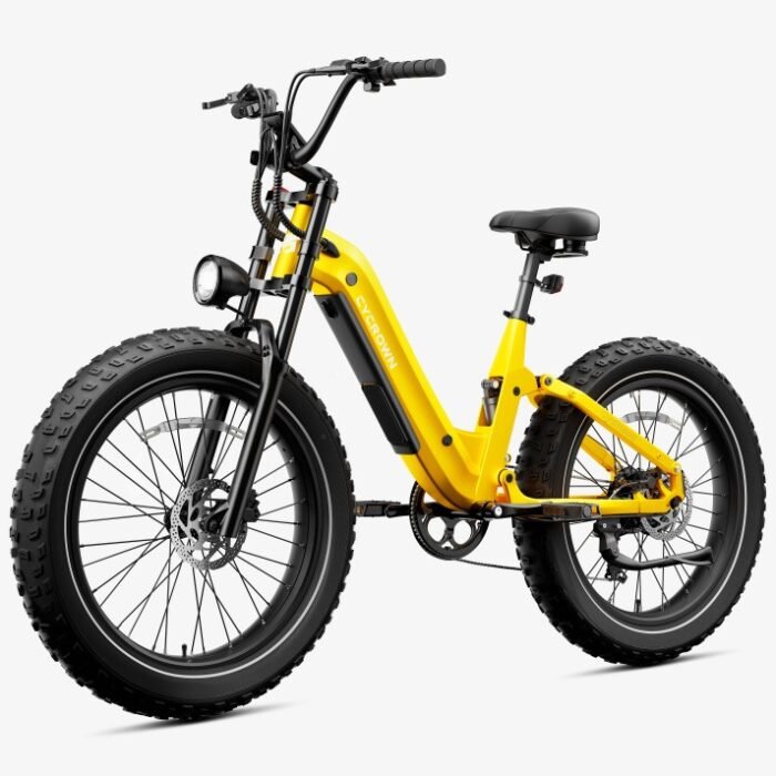 Roma All-Terrain Ebike - Image 9