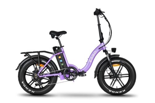 E-Mini Pro Ebike