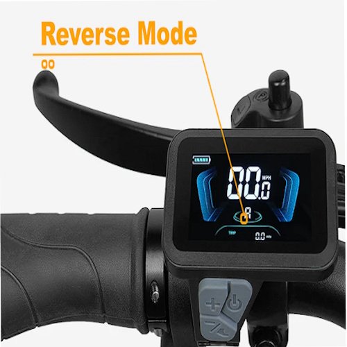 Reverse Mode