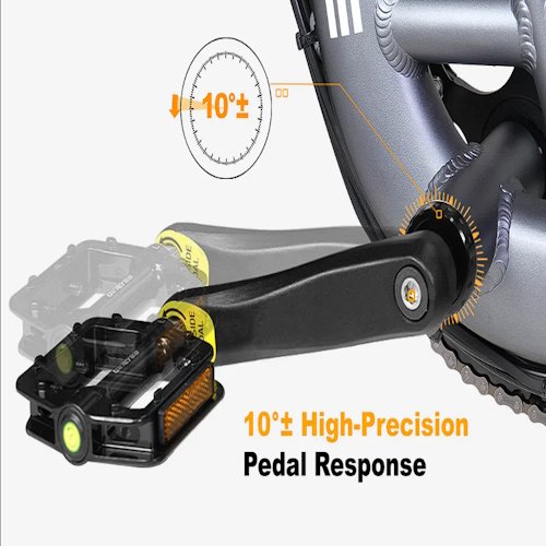 Torque Sensor
