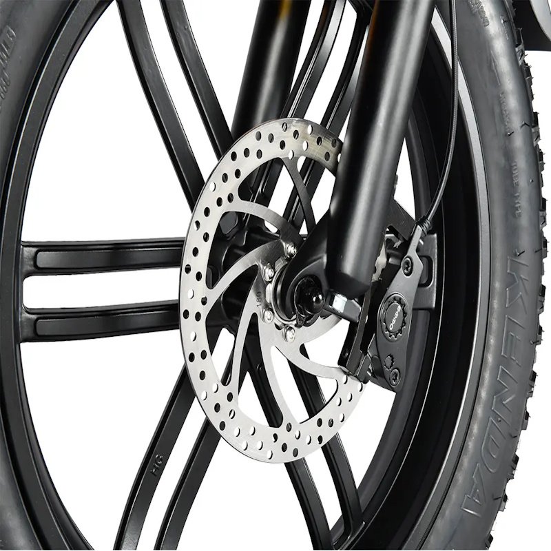 Dual-Piston Hydraulic Brake